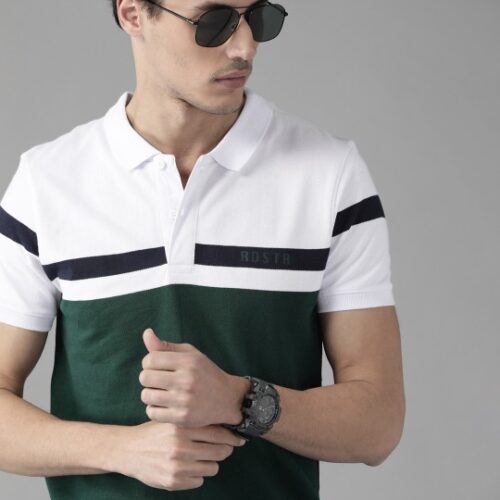 Men Green & White Pure Cotton Colourblocked Polo Collar T-shirt