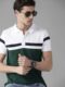 Men Green & White Pure Cotton Colourblocked Polo Collar T-shirt